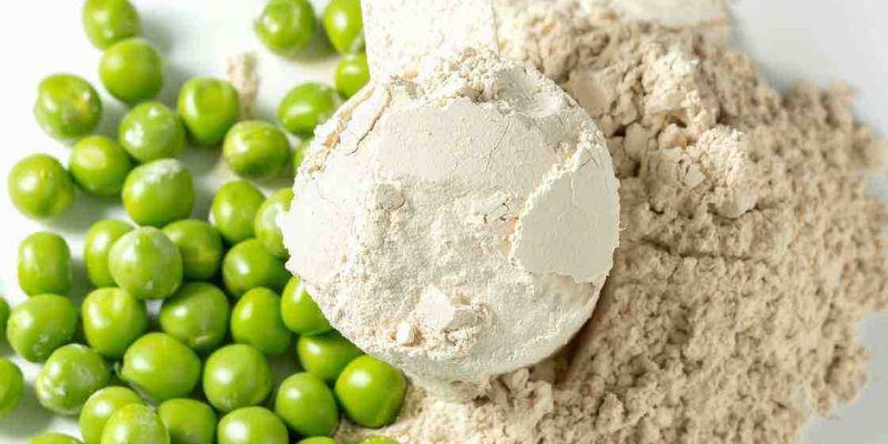 Benefits of Pea Protein vs Whey Which Is the Best Protein Source for You