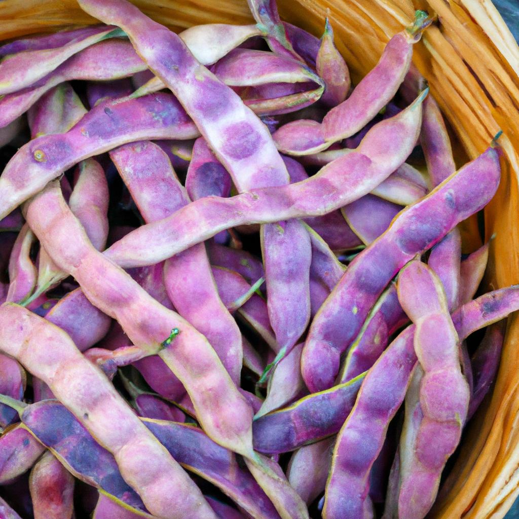 Harvesting pinkeye purple hull peas at the right time ensures maximum flavor and nutrition.