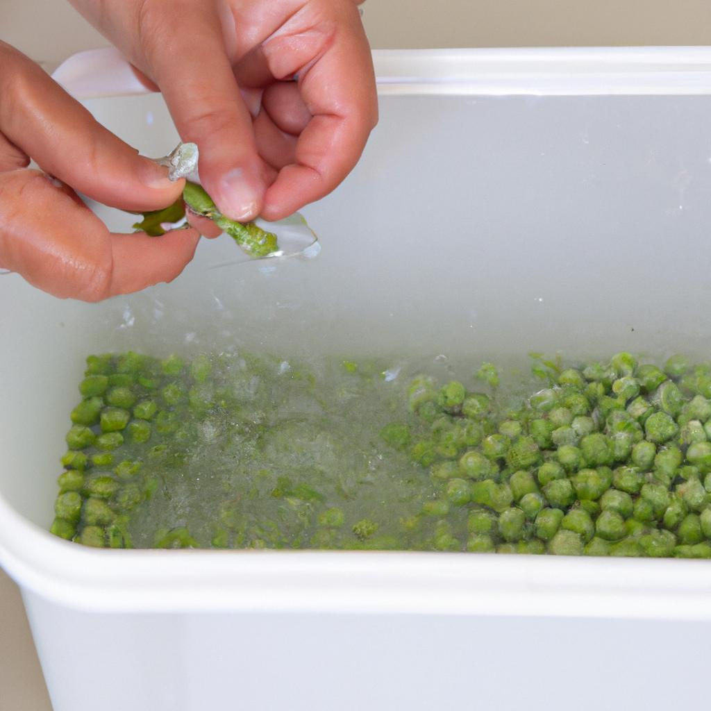 Blanching peas in ice water after boiling for 2-3 minutes helps to stop the cooking process and maintain their texture.