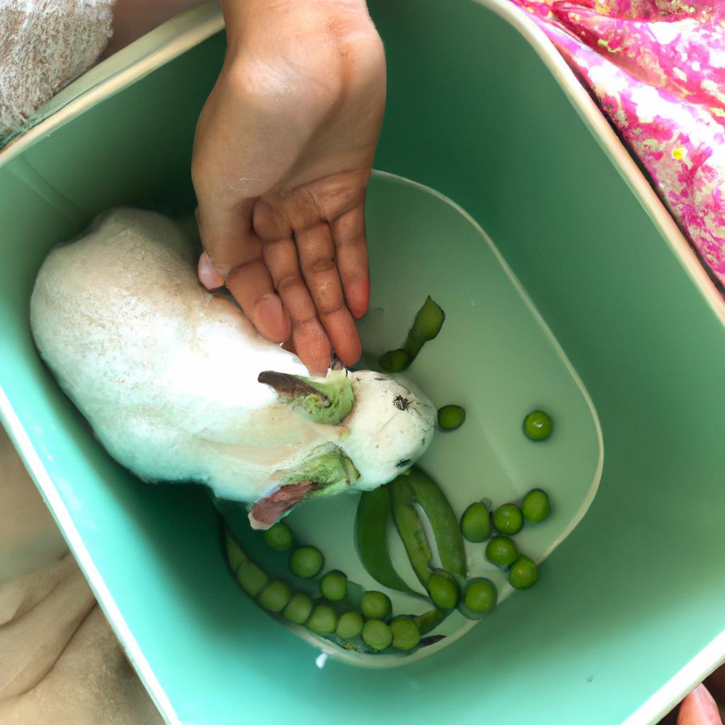 Washing sugar snap peas thoroughly before feeding them to your bunny is important to prevent any harmful chemicals from entering their system.