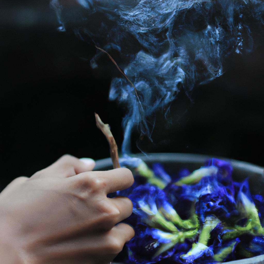 Butterfly Pea Flower Smoking Benefits
