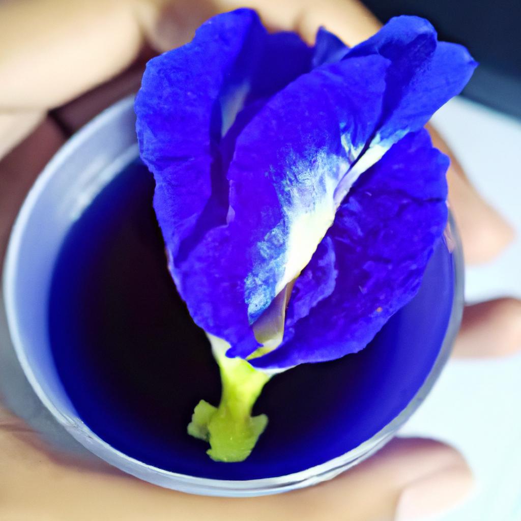 Drinking butterfly pea flower tea can help brighten the skin and improve overall health