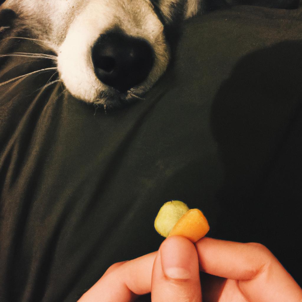 Can Dogs Eat Wasabi Peas