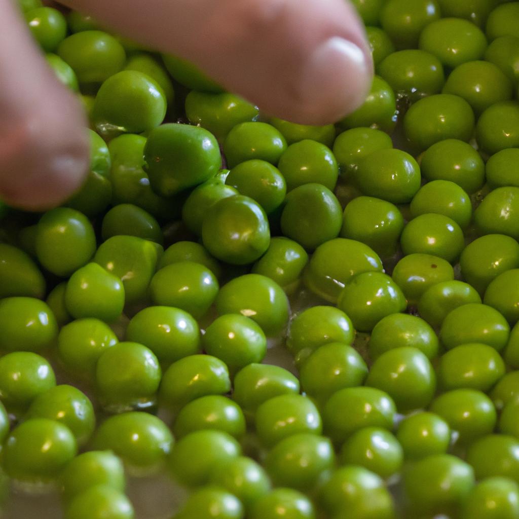 Properly cleaning and sorting peas is crucial for blanching.