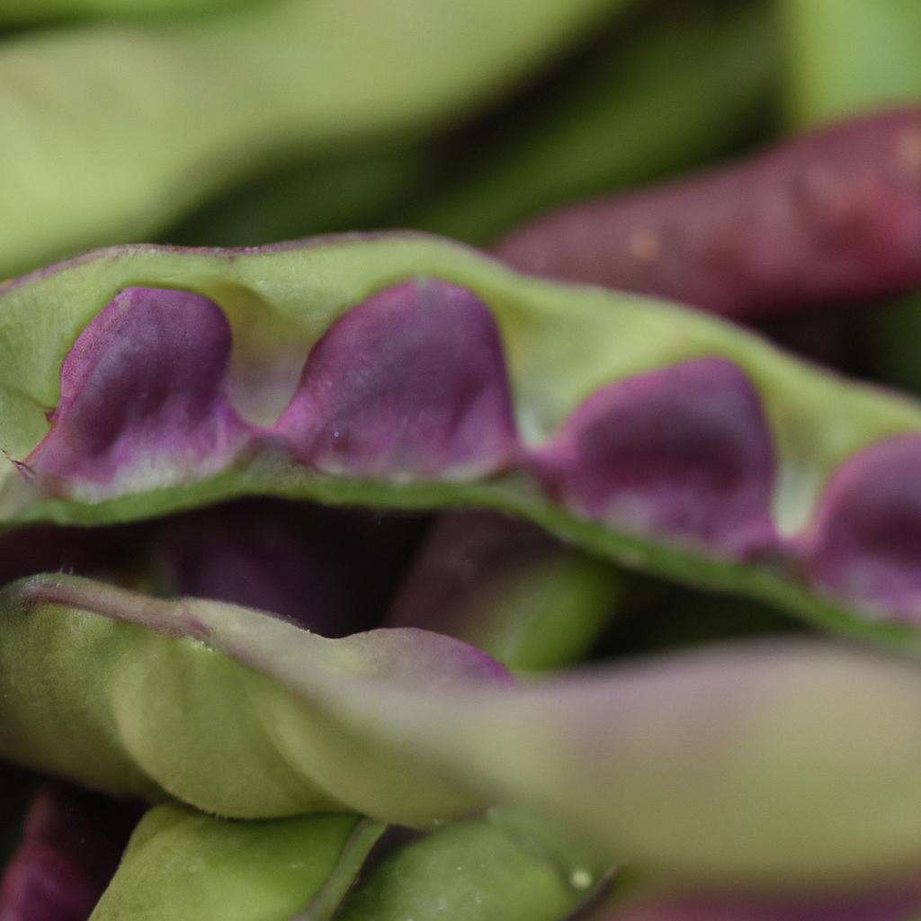 Selecting only the best peas for freezing without blanching.