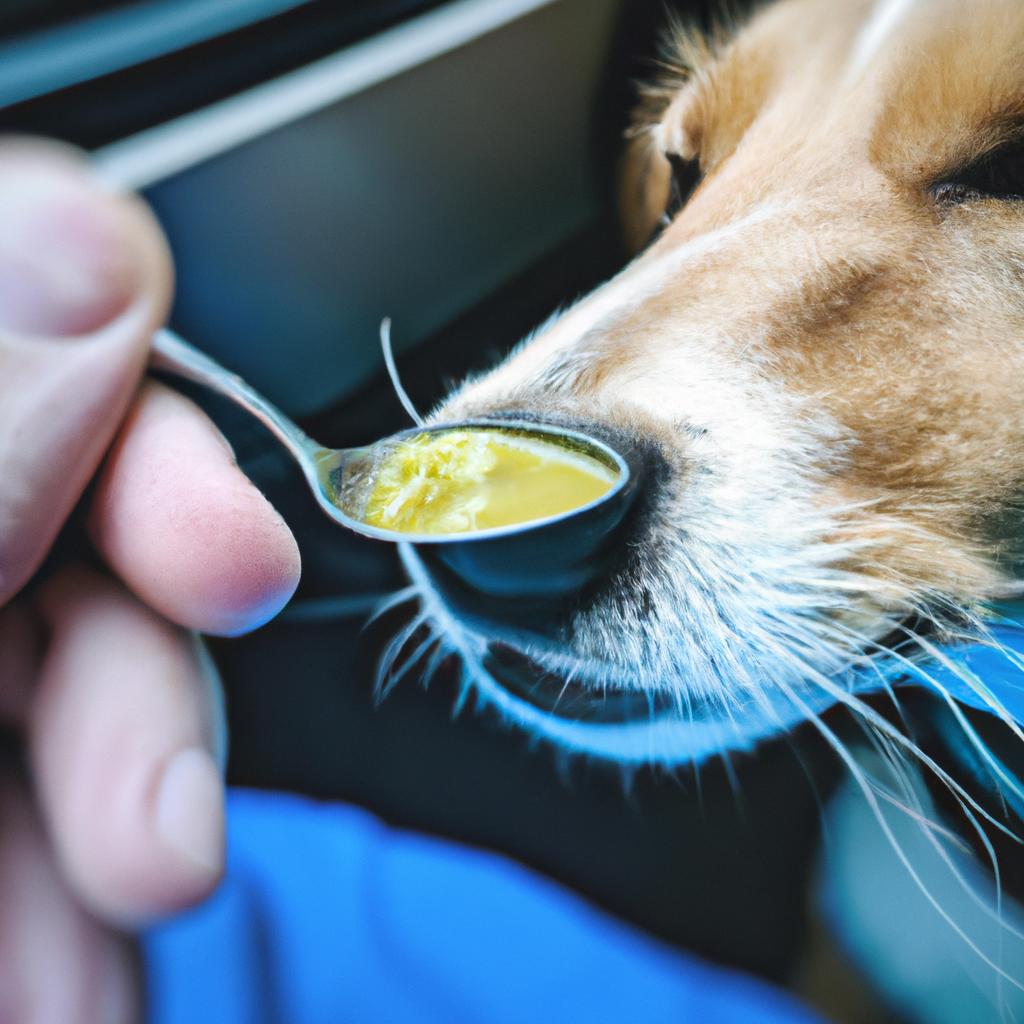 Adding peas to your dog's diet can improve their digestion and bowel movements.
