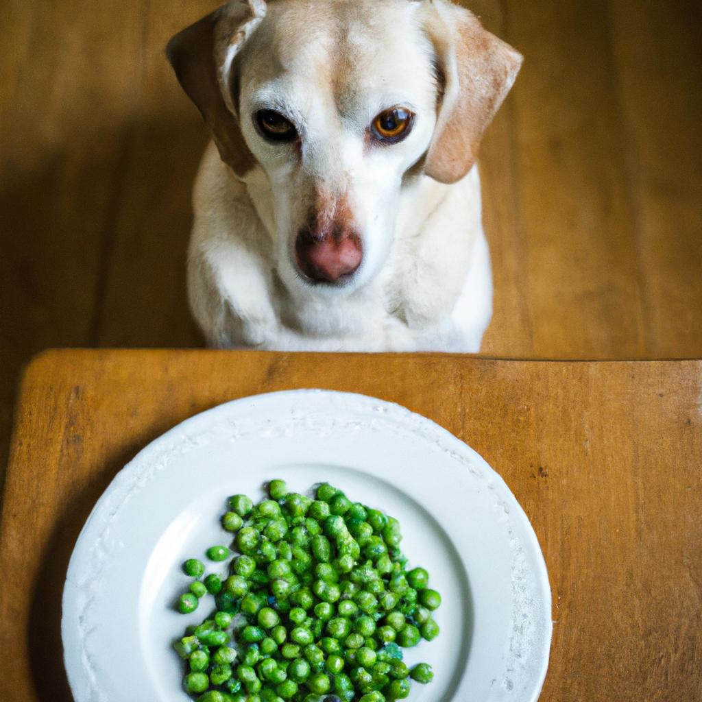 Peas are a low-calorie treat for dogs that can help with weight management.