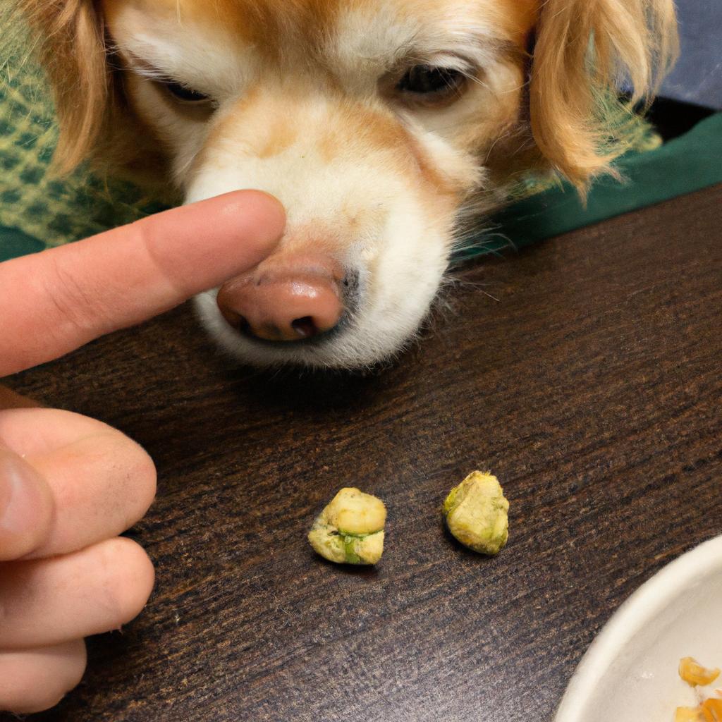 This dog's face says it all - wasabi peas are not for everyone