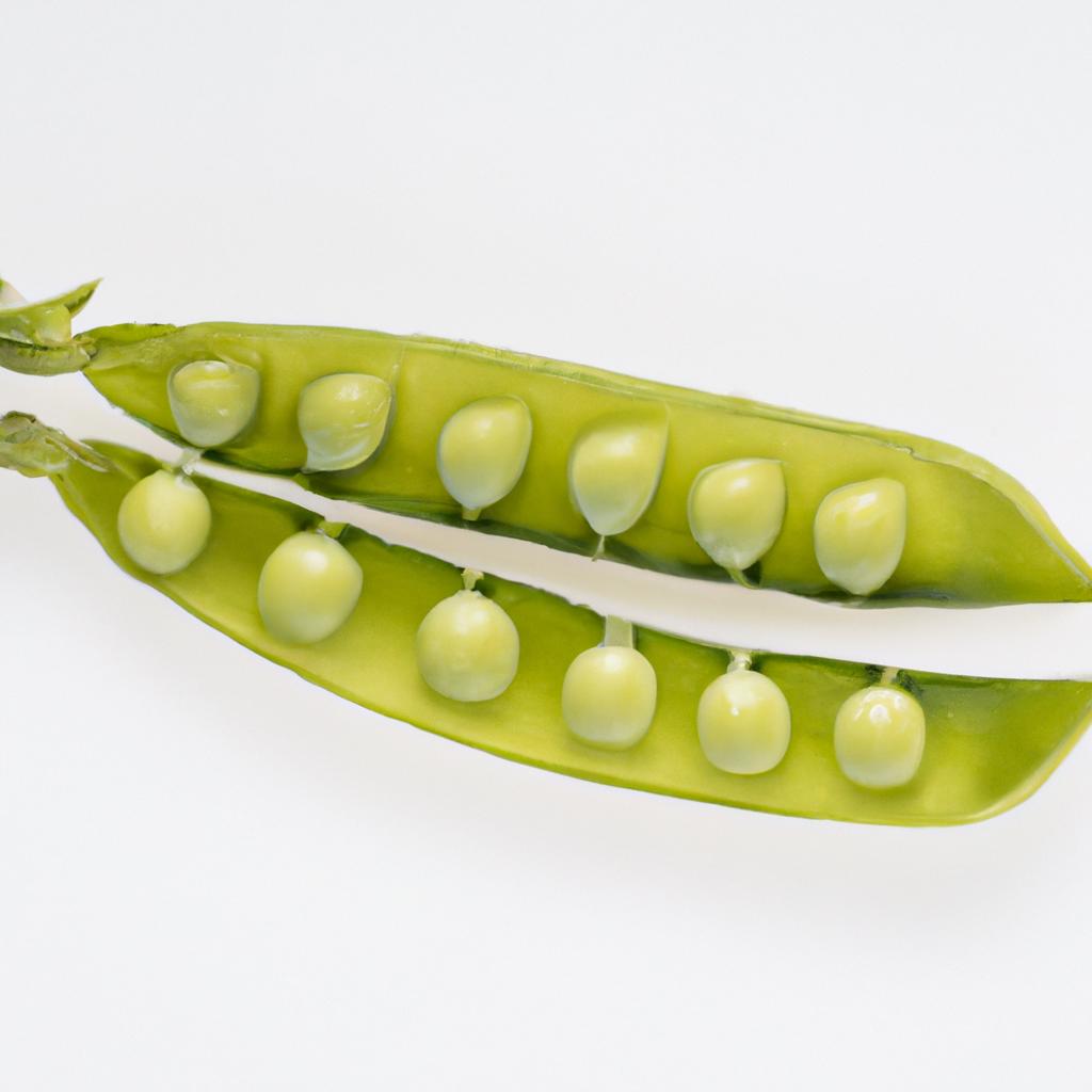 These pea pods are the result of an experimental genetic modification.