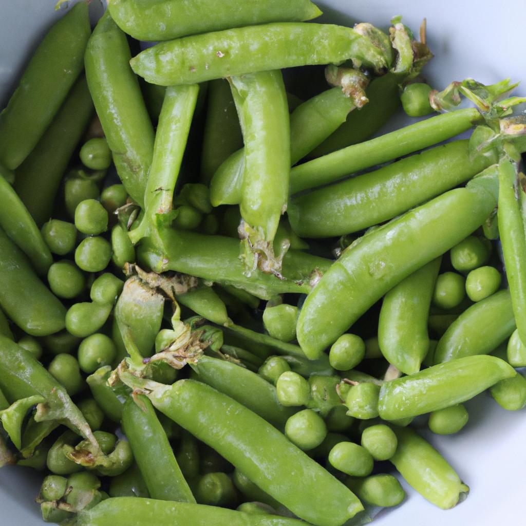 Selecting fresh and quality peas is crucial to the success of blanching and freezing.