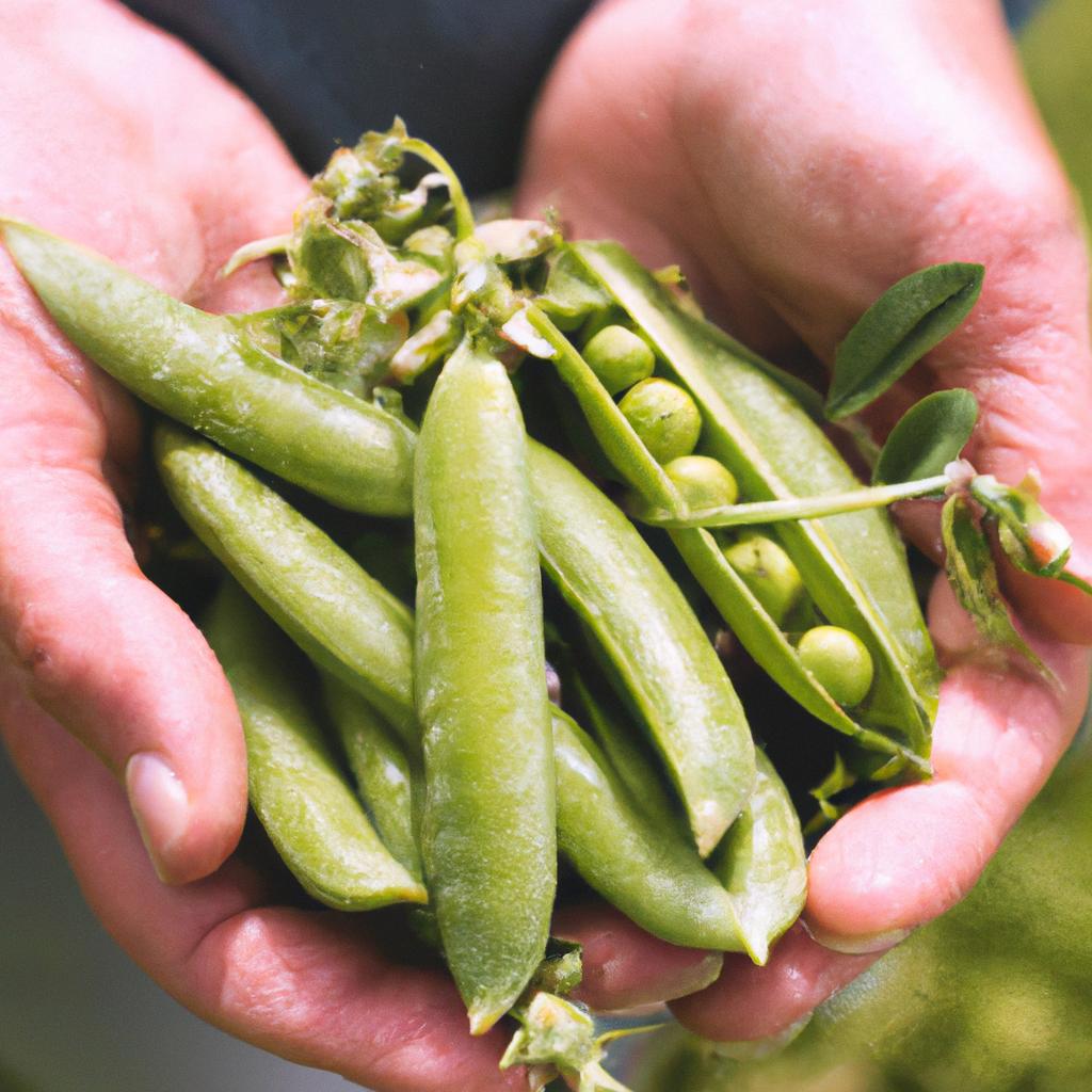 How Long To Blanch Peas