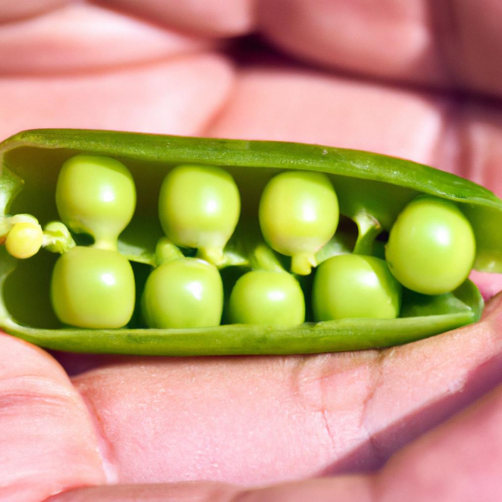 How Long Will Fresh Shelled Peas Keep In The Fridge
