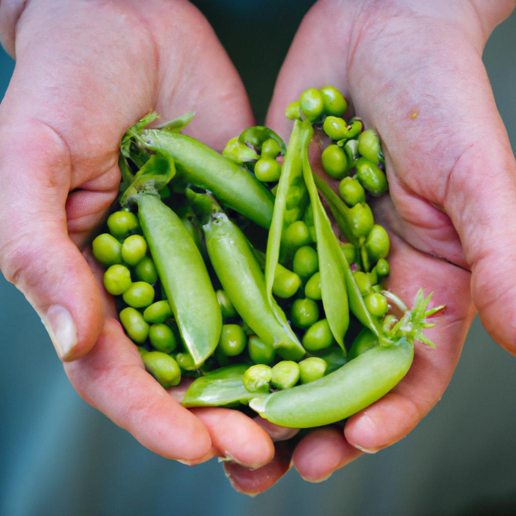 How To Blanch Fresh Peas