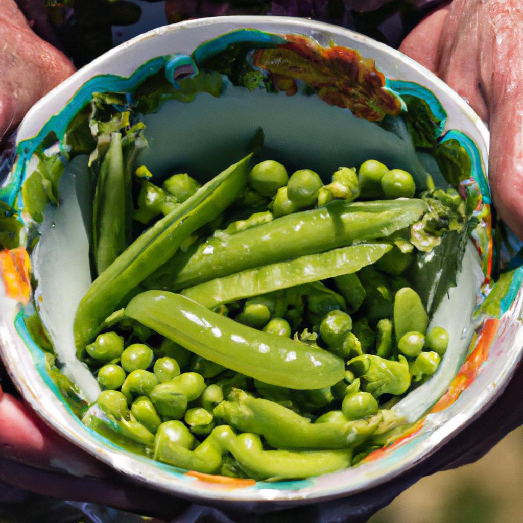 How To Blanch Peas For Freezer