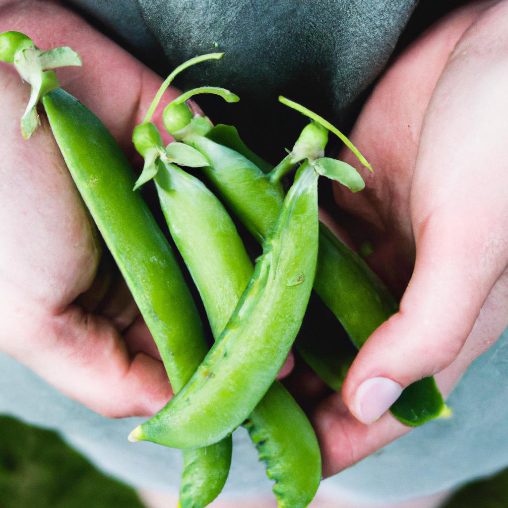 How To Freeze Sugar Snap Peas Without Blanching