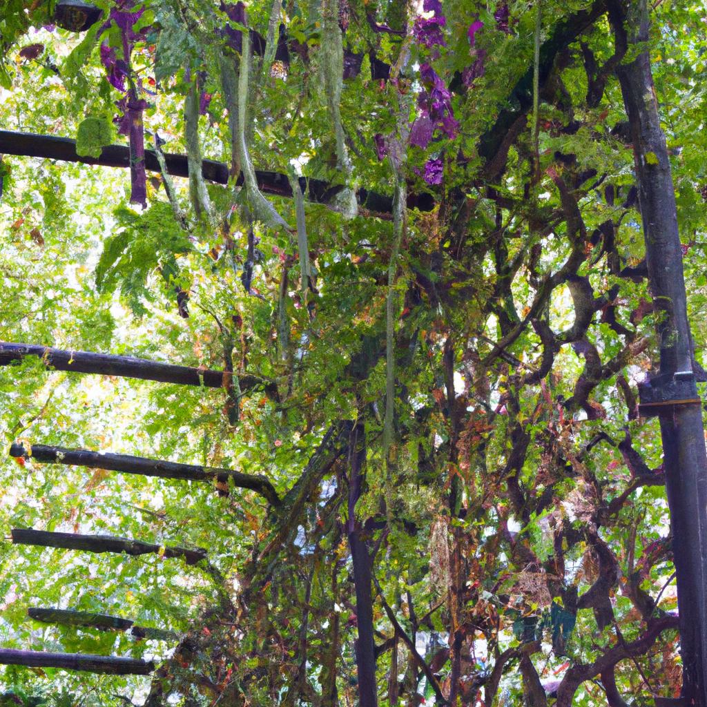 A metal trellis like this adds a decorative touch to your garden while supporting your purple hull peas.