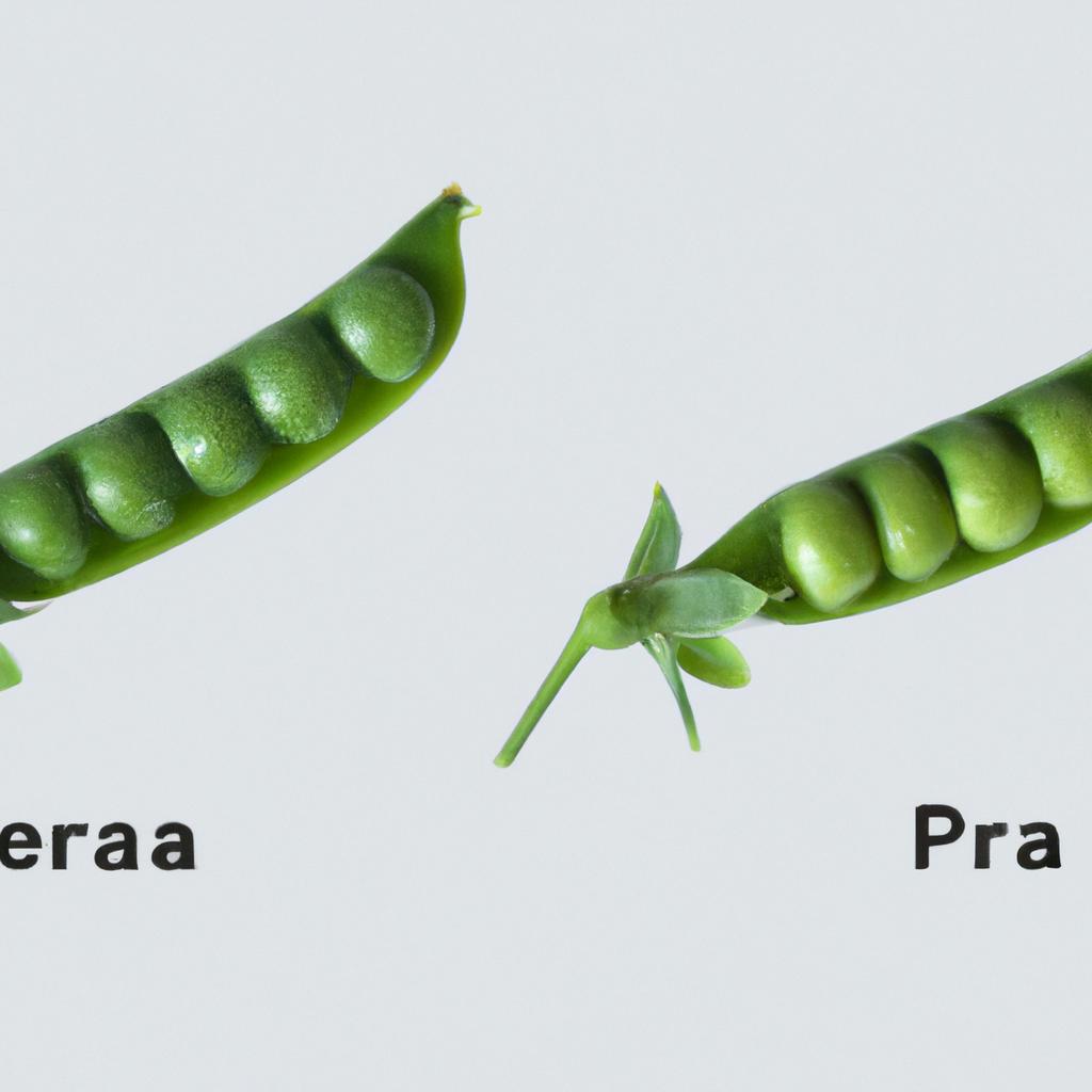 This image shows the intricate details of a pea plant's genetic code.