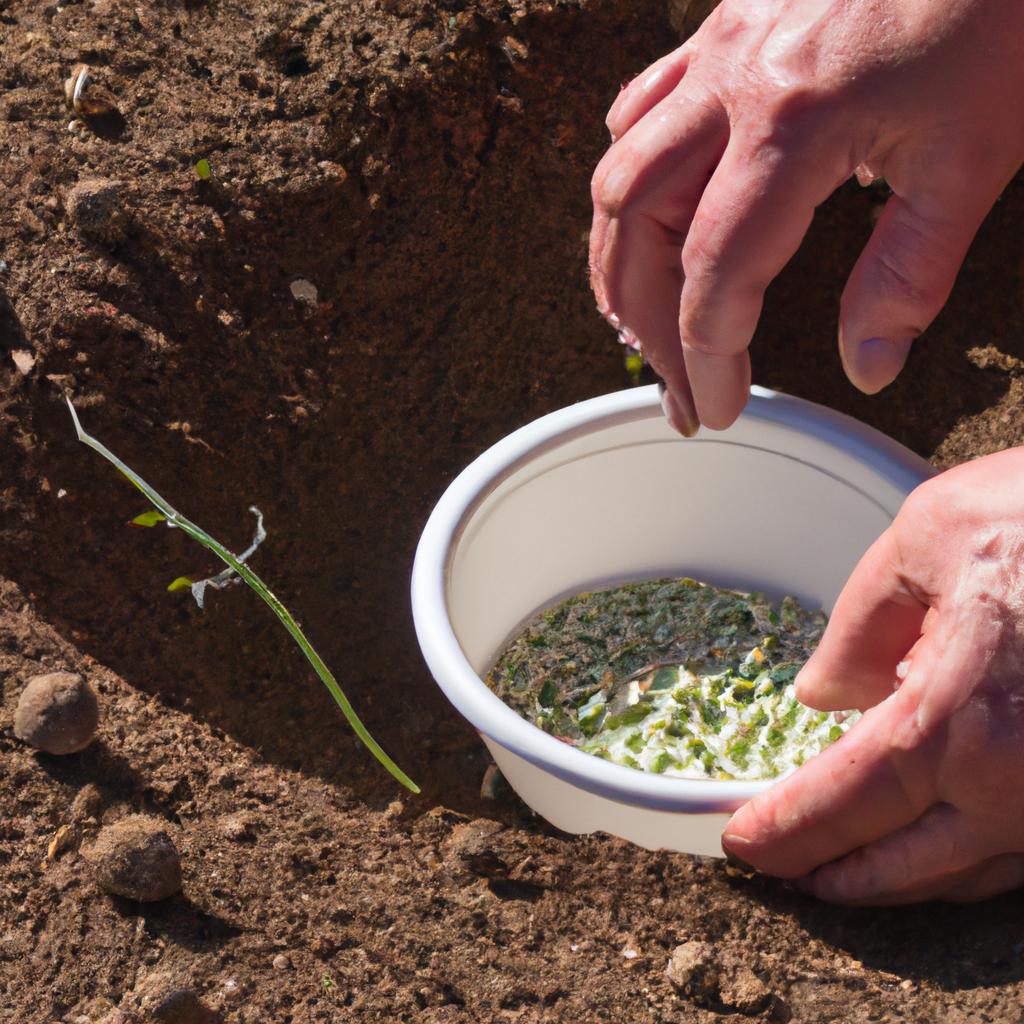 Planting soaked peas in well-prepared soil with proper spacing and support can lead to a successful harvest.