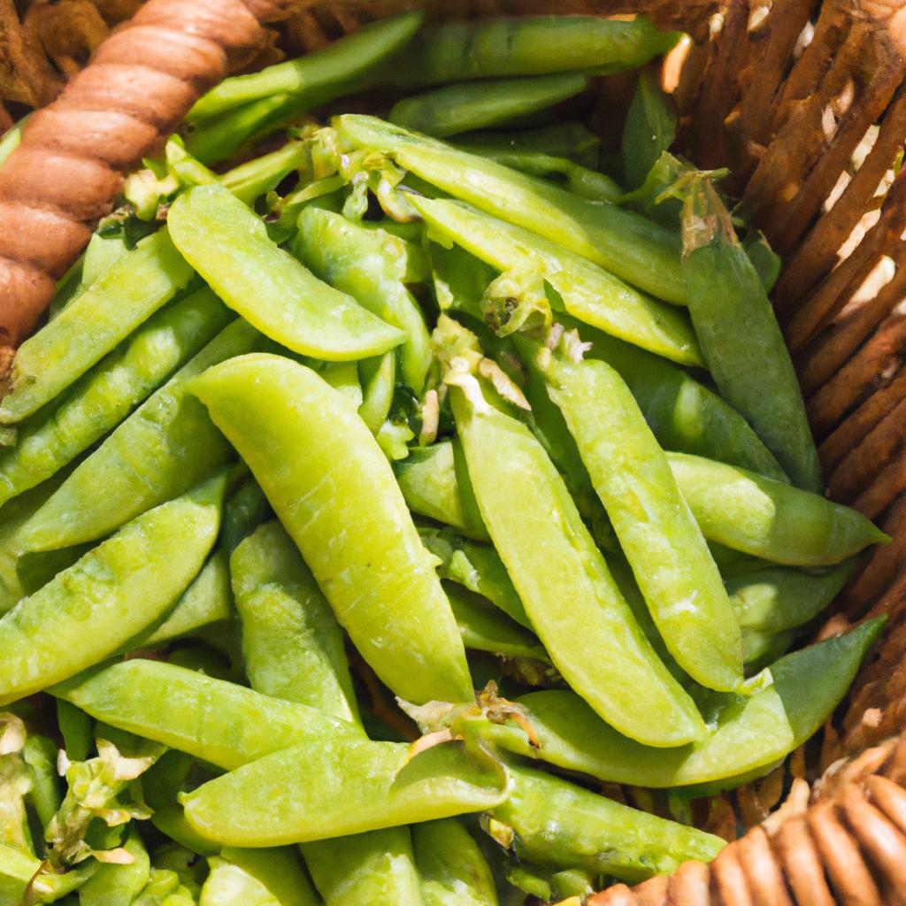 Bushels of peas are commonly used in commercial industries, including frozen food processing and canning.