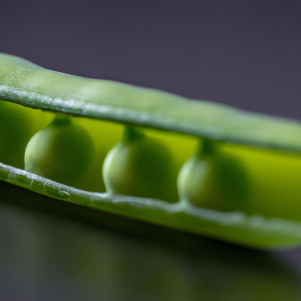 Preparing peas before blanching is an important step