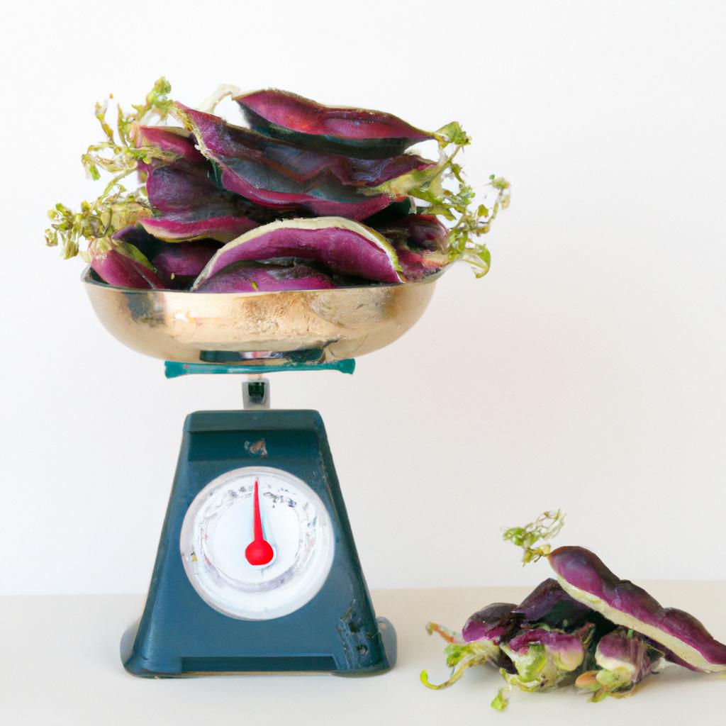 A scale measures the weight of a bushel of purple hull peas