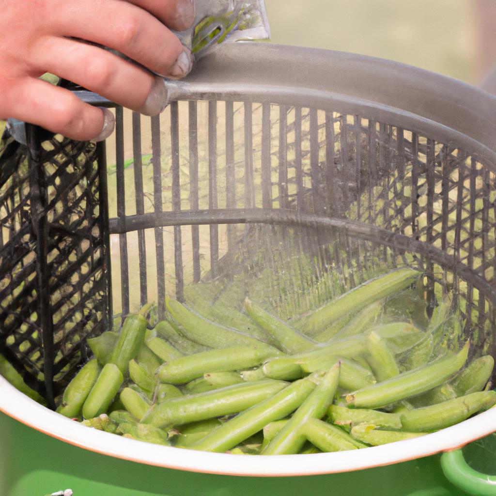 Steaming peas is another way to blanch them.
