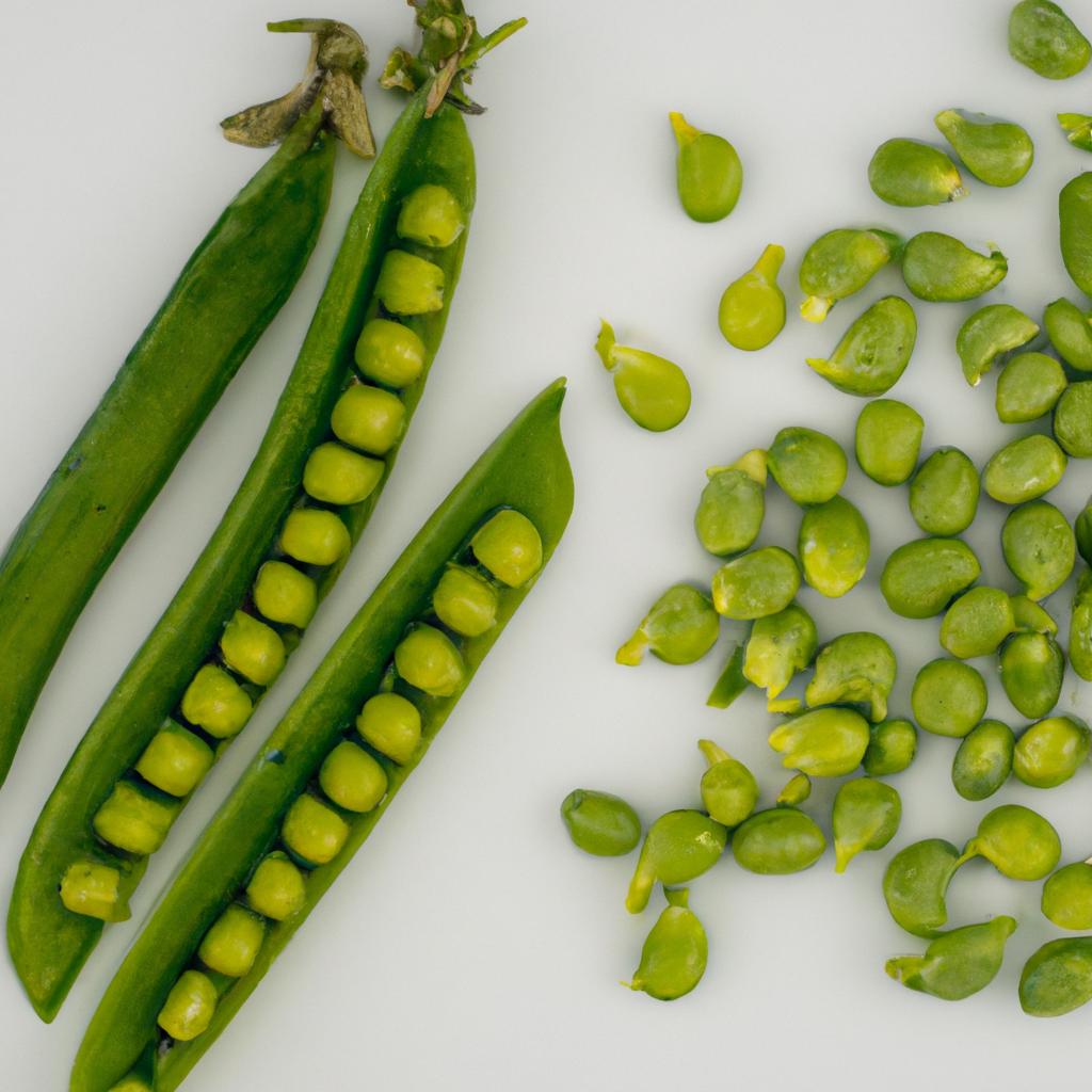 Snap, snow, and green peas of various sizes are sorted before being packed into bushels.