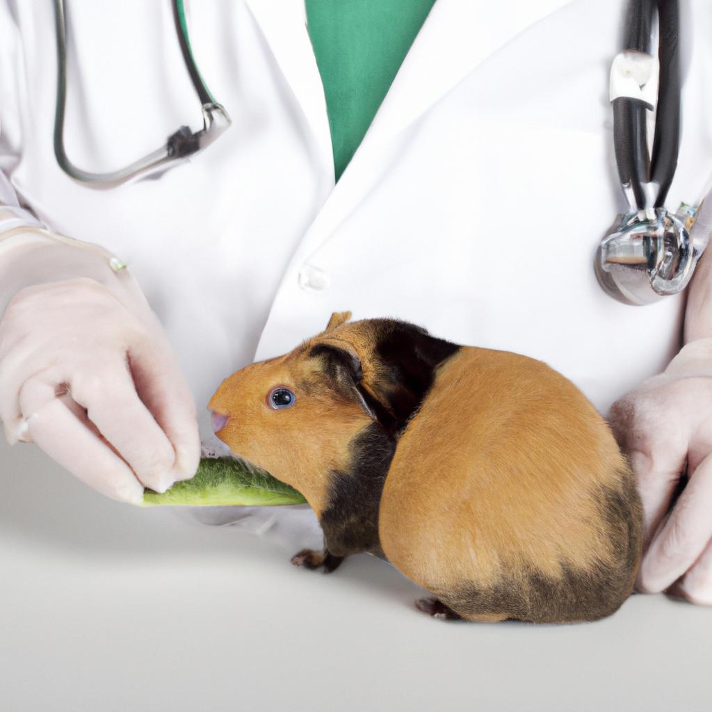 Consulting with a veterinarian is important before introducing new foods, including sugar snap peas, to a guinea pig's diet.