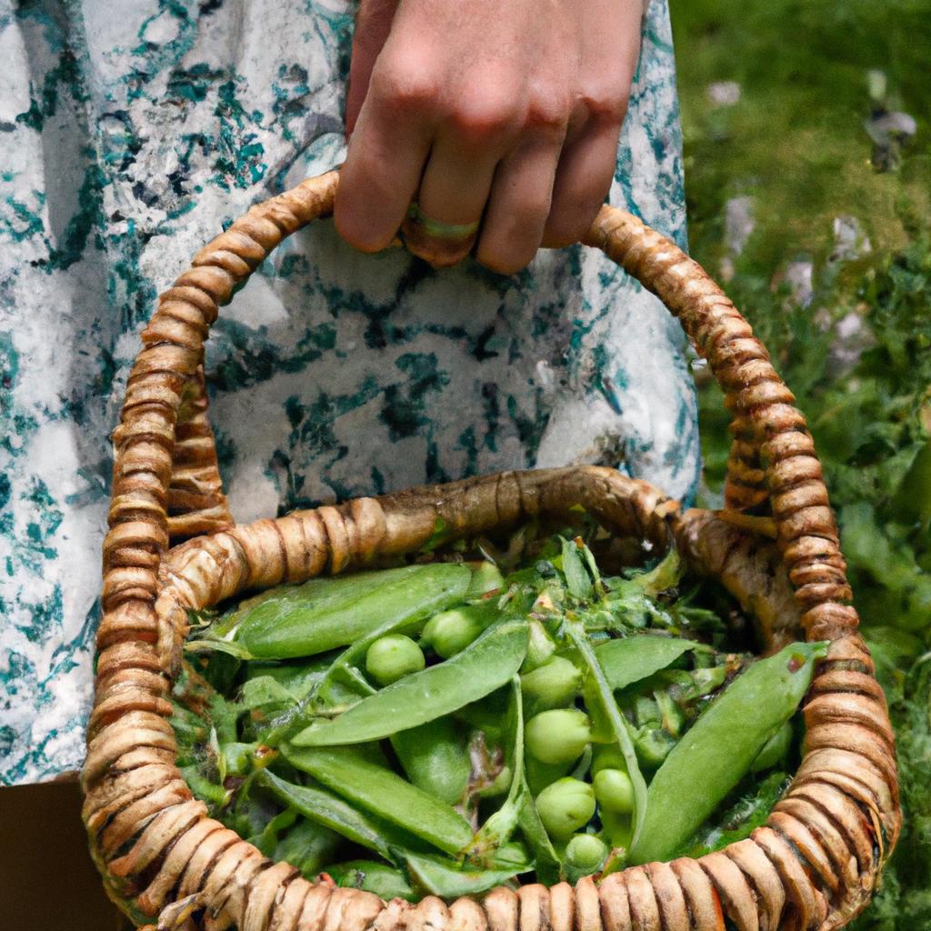 Fresh green peas are a great source of fibre and nutrients for those following a low FODMAP diet.