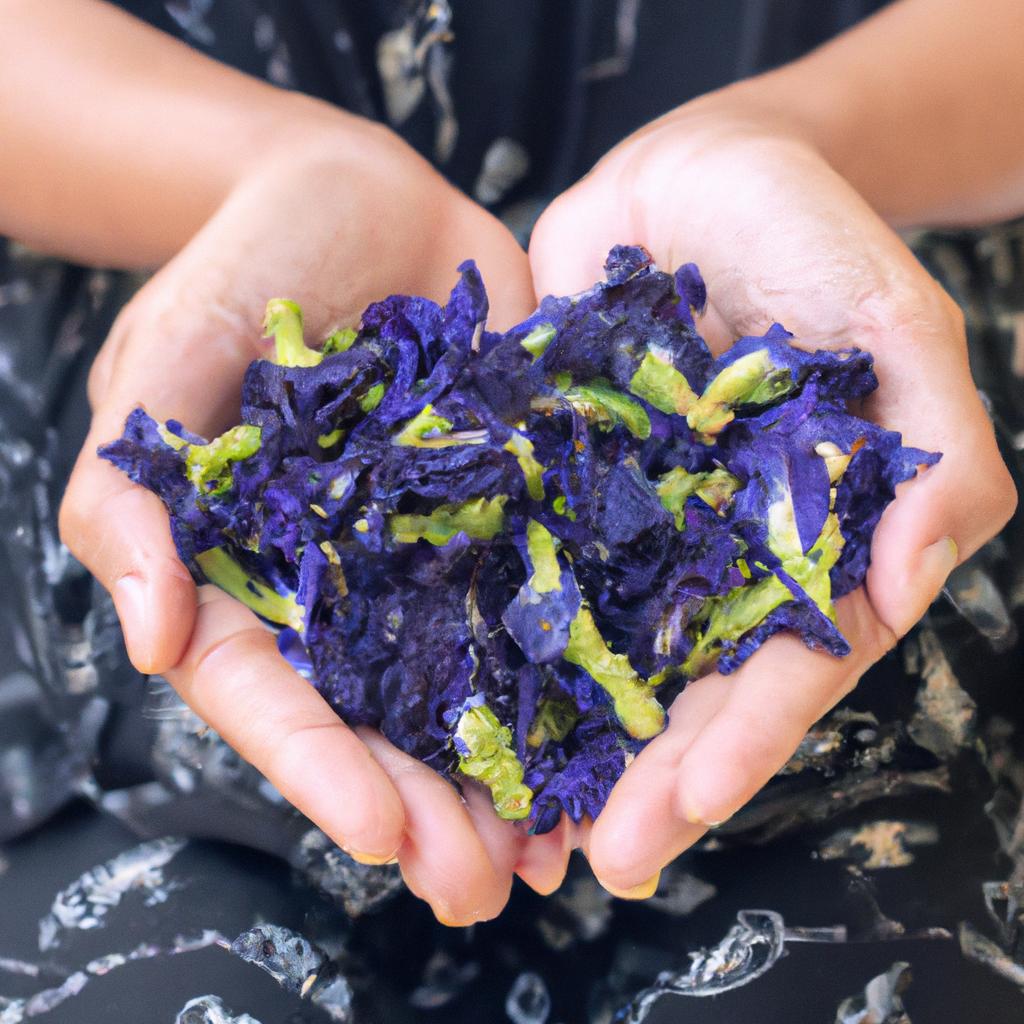 Dried butterfly pea flowers can be used to make tea, smoothies, and other healthy beverages.