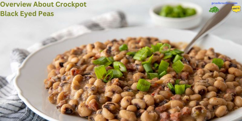 Overview About Crockpot Black Eyed Peas